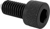 Socket Head Screws