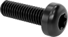 Steel Pan Head Torx Screws