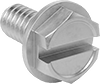 Hex Head Screws
