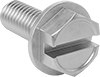 Stainless Steel Flanged Slotted Hex Head Screws