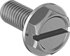 Hex Head Screws