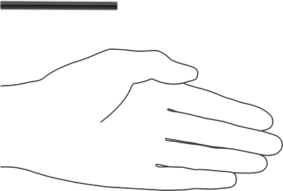 Image of Product. Side1 orientation. Contains SizingReference. High-Strength Steel Threaded Rod, 1/4"-28 Thread Size, 3" Long.
