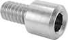High-Profile Stainless Steel Socket Head Screws