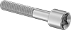 Socket Head Screws