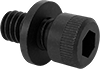 Socket Head Screws