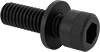 Steel Socket Head Screws with Flat Washer