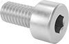Socket Head Screws