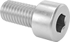 Brass Socket Head Screws