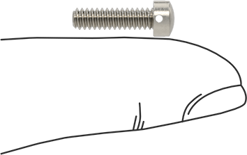 Image of Product. Side1 orientation. Contains SizingReference. Wire-Lockable Rounded Head Screws, 6-32 Thread Size, 1/2" Long.