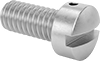 Rounded Head Screws