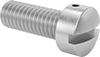 Rounded Head Screws