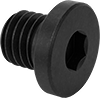 Ultra-Low-Profile Steel Socket Head Screws