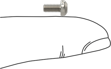 Image of Product. Side1 orientation. Contains SizingReference. 18-8 Stainless Steel Pan Head Torx Screws, M3 x 0.50 mm Thread Size, 6 mm Long.