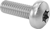 Stainless Steel Pan Head Torx Screws
