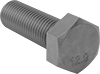 Hex Head Screws