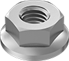 Flange Nuts