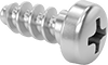 Steel Phillips Rounded Head Thread-Forming Screws for Plastic