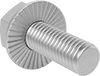 Hex Head Screws