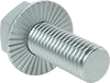 Steel Serrated-Flange Hex Head Screws