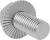 Hex Head Screws