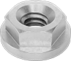 Flange Nuts