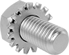 Stainless Steel Hex Head Screws with External-Tooth Lock Washer