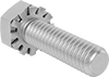 Hex Head Screws