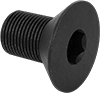 Flat Head Screws
