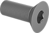 Flat Head Screws