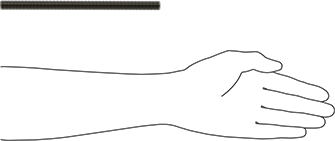 Image of Product. Side1 orientation. Contains SizingReference. Low-Strength Steel Threaded Rod, M12 x 1.75 mm Thread Size, 200 mm Long.