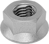 Flange Nuts