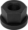 Flange Nuts