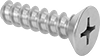 Stainless Steel Phillips Flat Head Thread-Forming Screws for Plastic