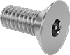 Flat Head Screws