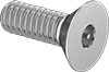 Tamper-Resistant Flat Head Screws