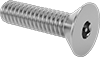 Flat Head Screws