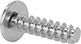 Image of Product. Back orientation. Tapping Screws. Stainless Steel Phillips Oversized Rounded Head Thread-Forming Screws for Plastic.