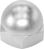 Cap Nuts
