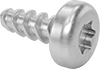 Stainless Steel Torx Rounded Head Thread-Forming Screws for Plastic