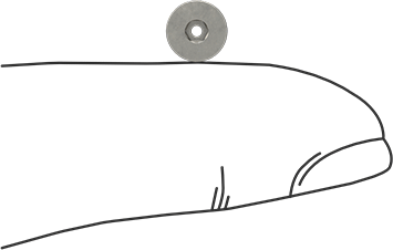 Image of Product. Side1 orientation. Contains SizingReference. Venting 18-8 Stainless Steel Hex-Drive Flat Head Screw, M3 x 0.5 mm Thread Size, 5 mm Long.