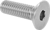 Flat Head Screws