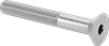 Flat Head Screws