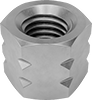Hex Nuts