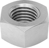 Hex Nuts
