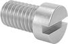 Steel Cheese Head Slotted Screws