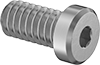 Socket Head Screws