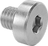 Low-Profile Stainless Steel Socket Head Screws