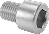 Stainless Steel Socket Head Screws