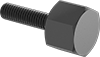 Steel Hex-Head Thumb Screws