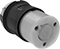 Socket